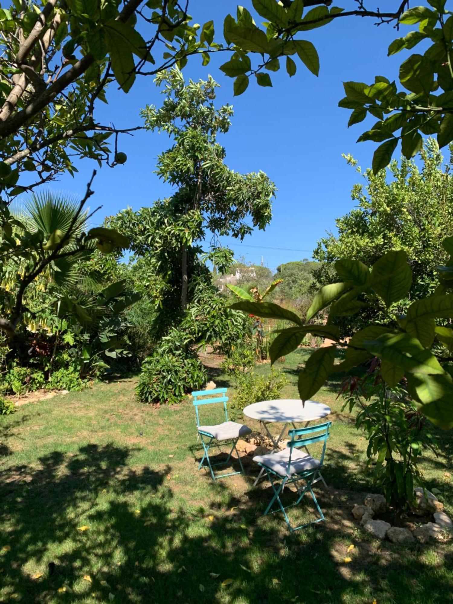 A Tranquil Garden Apartment, Carvoeiro - Benagil Exterior photo