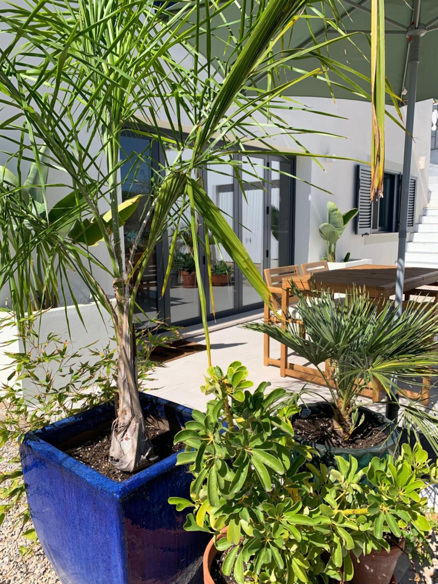 A Tranquil Garden Apartment, Carvoeiro - Benagil Exterior photo